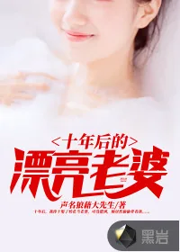 《十年后的漂亮老婆》小说封面