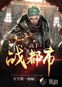 《高手战都市》小说封面