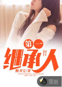 《第一继承人》小说封面