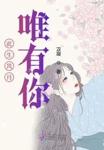 《此生风月唯有你》小说封面