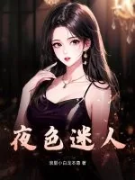 《夜色迷人》小说封面