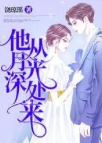 《他从月光深处来》小说封面