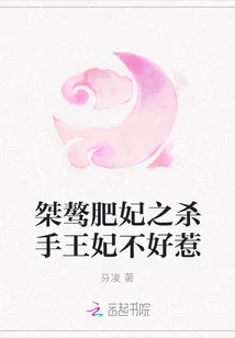 《桀骜肥妃之杀手王妃不好惹》小说封面