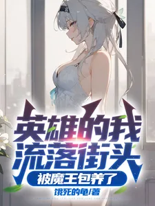 《英雄的我流落街头，被魔王包养了》小说封面
