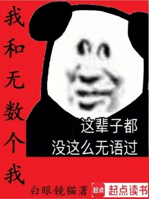 《我和无数个我》小说封面