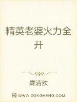 《精英老婆火力全开》小说封面