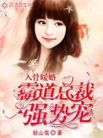 《入骨暖婚：霸道总裁强势宠》小说封面