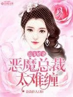 《溺宠娇妻：恶魔总裁太难缠》小说封面