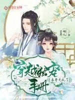 《穿越独宠手册：妾身无礼了》小说封面