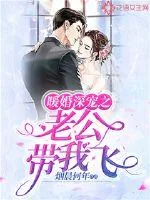 《暖婚深宠之老公带我飞》小说封面
