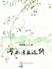 《河水清且涟猗》小说封面