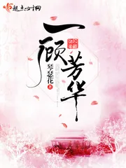 《一顾芳华》小说封面