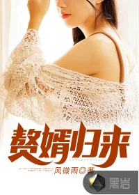 《赘婿归来》小说封面