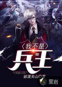 《我不是兵王》小说封面