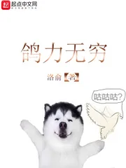 《鸽力无穷》小说封面