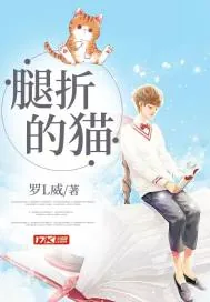 《腿折的猫》小说封面