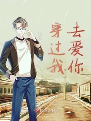 《穿过我去爱你》小说封面