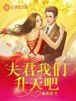 《夫君我们升天吧》小说封面