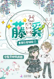 《藤奚》小说封面