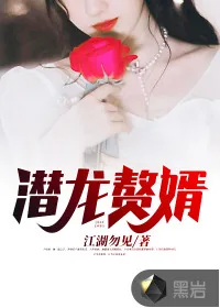 《潜龙赘婿》小说封面