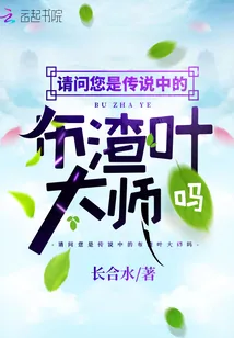 《请问您是传说中的布渣叶大师吗》小说封面