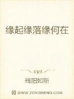 《缘起缘落缘何在》小说封面
