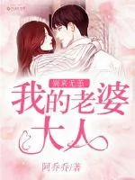 《别来无恙我的老婆大人》小说封面