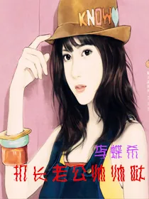 《机长老公帅帅哒》小说封面