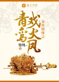 《金丝情缘之火凤戏青鸾》小说封面
