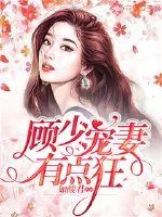 《顾少宠妻有点狂》小说封面