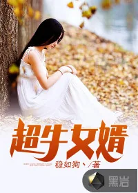 《超牛女婿》小说封面