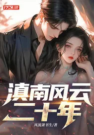 《滇南风云二十年》小说封面