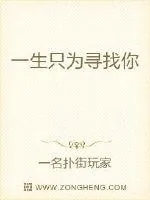 《一生只为寻找你》小说封面