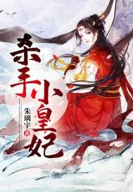 《杀手小皇妃》小说封面