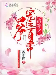 《清穿之四爷宠妾日常》小说封面
