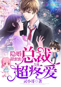 《隐婚甜蜜蜜：总裁，超疼爱》小说封面