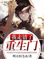 《我走错了重生门》小说封面