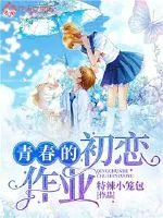 《青春的初恋作业》小说封面