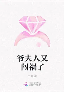 《爷夫人又闯祸了》小说封面