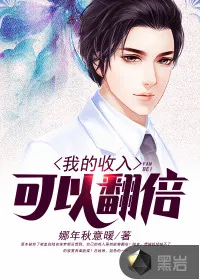 《我的收入可以翻倍》小说封面
