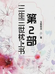 《三生三世枕上书第2部》小说封面