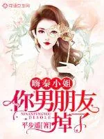 《嗨秦小姐，你男朋友掉了》小说封面