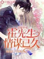 《非娶不可：霍先生情谋已久》小说封面