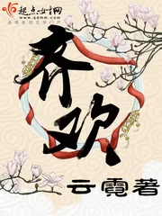 《齐欢》小说封面