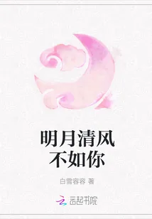 《明月清风不如你》小说封面