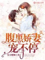 《腹黑娇妻宠不停》小说封面