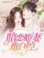 《暗恋娇妻难自控》小说封面