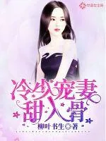 《冷少宠妻甜入骨》小说封面