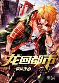 《龙回都市》小说封面