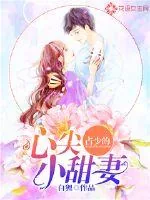 《占少的心尖小甜妻》小说封面